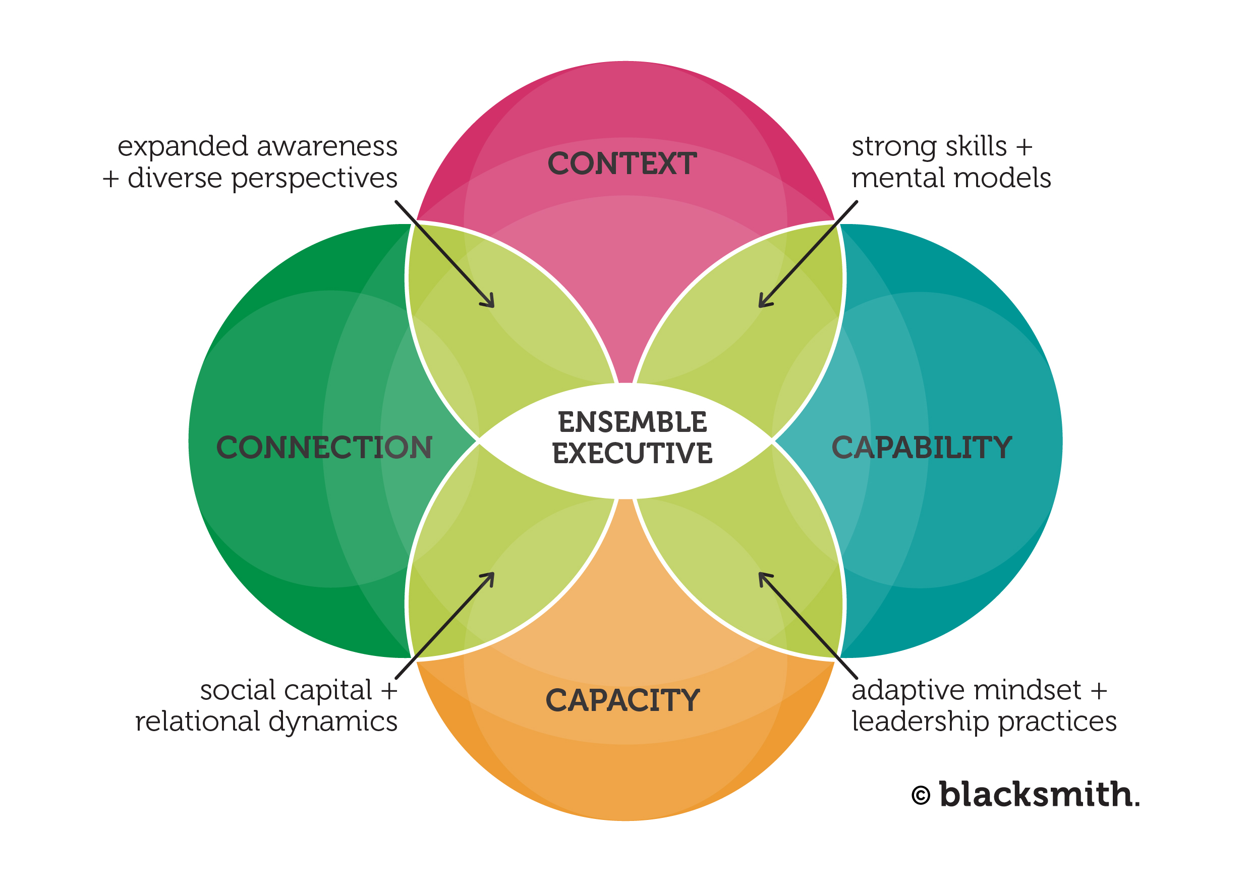 Ensemble Executive Delopment Model